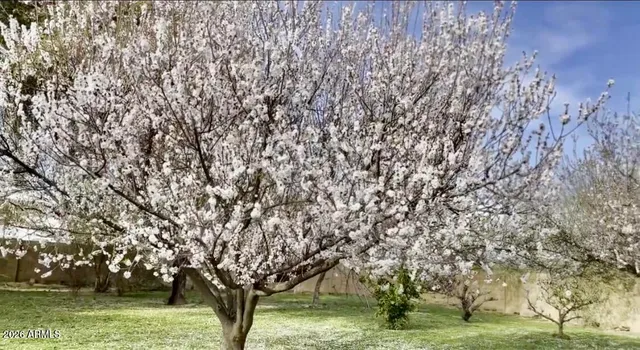 $895,000 | 5116 West La Mirada Drive, Laveen, AZ 85339