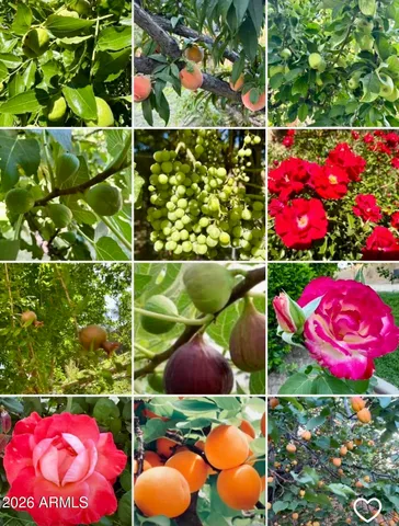 $895,000 | 5116 West La Mirada Drive, Laveen, AZ 85339