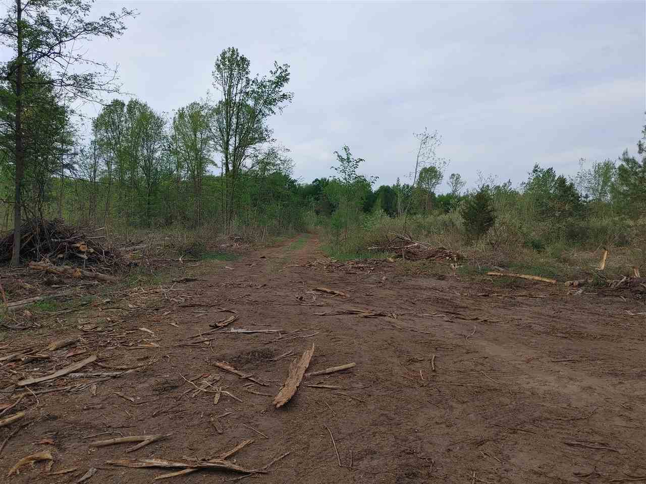 Parcel C South Isabella Road Shepherd, MI 48883 - Photo 1 of 7