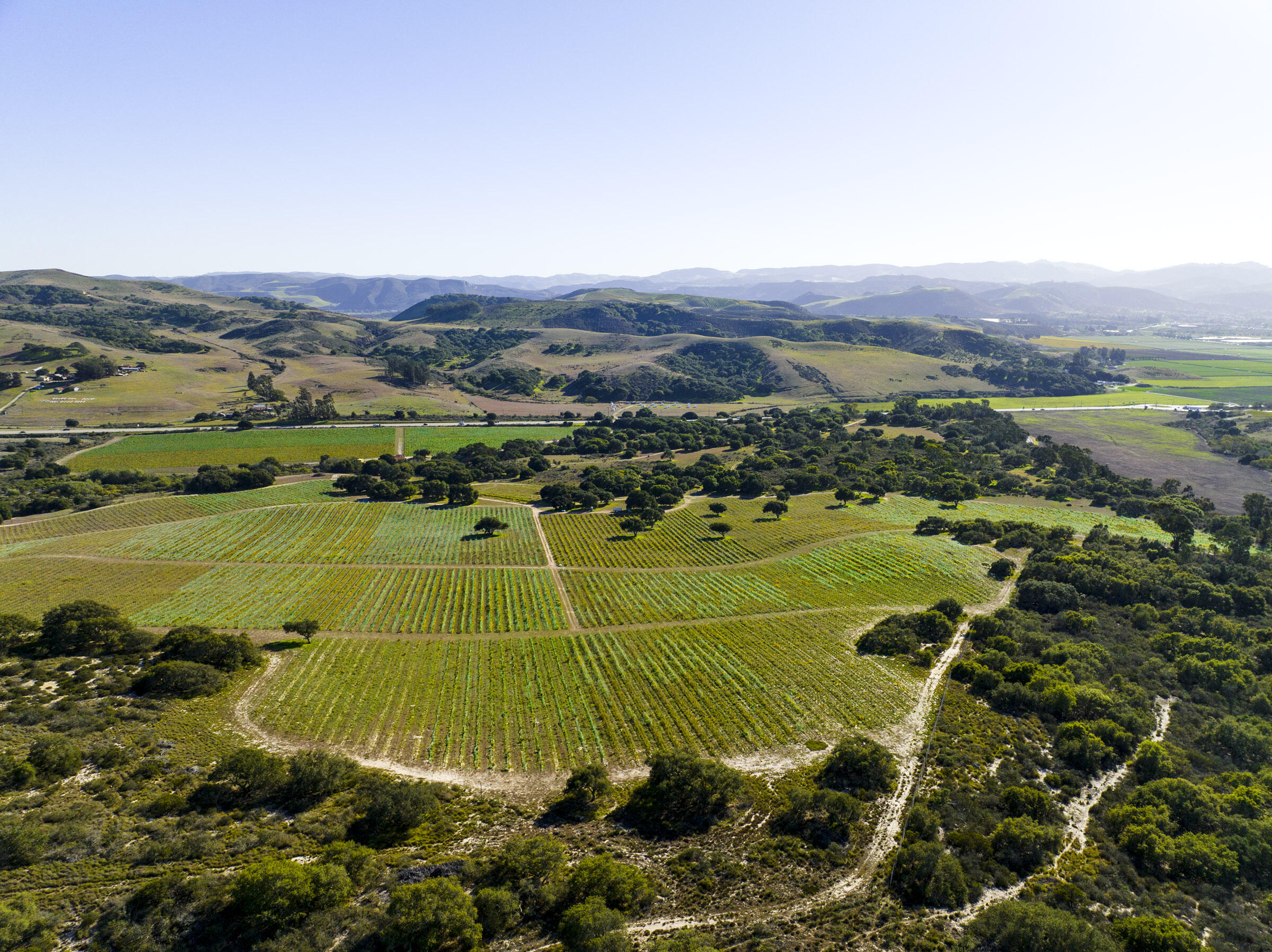 3145 Highway 246 Lompoc, CA 93436 - Photo 18 of 32 2755 Purisima Rd_0027
