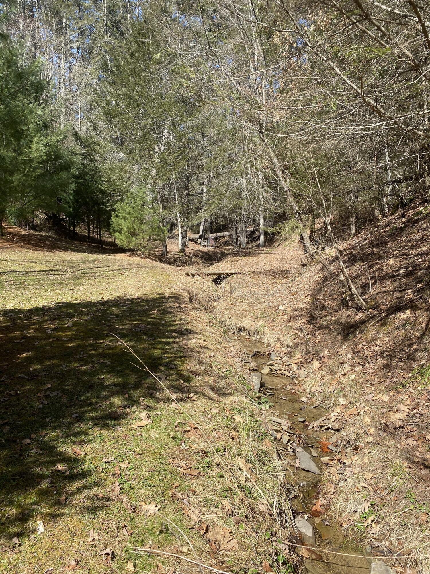85 Green Acres Road Marlinton, WV 24954 - Photo 74 of 85 Gallery Image 74