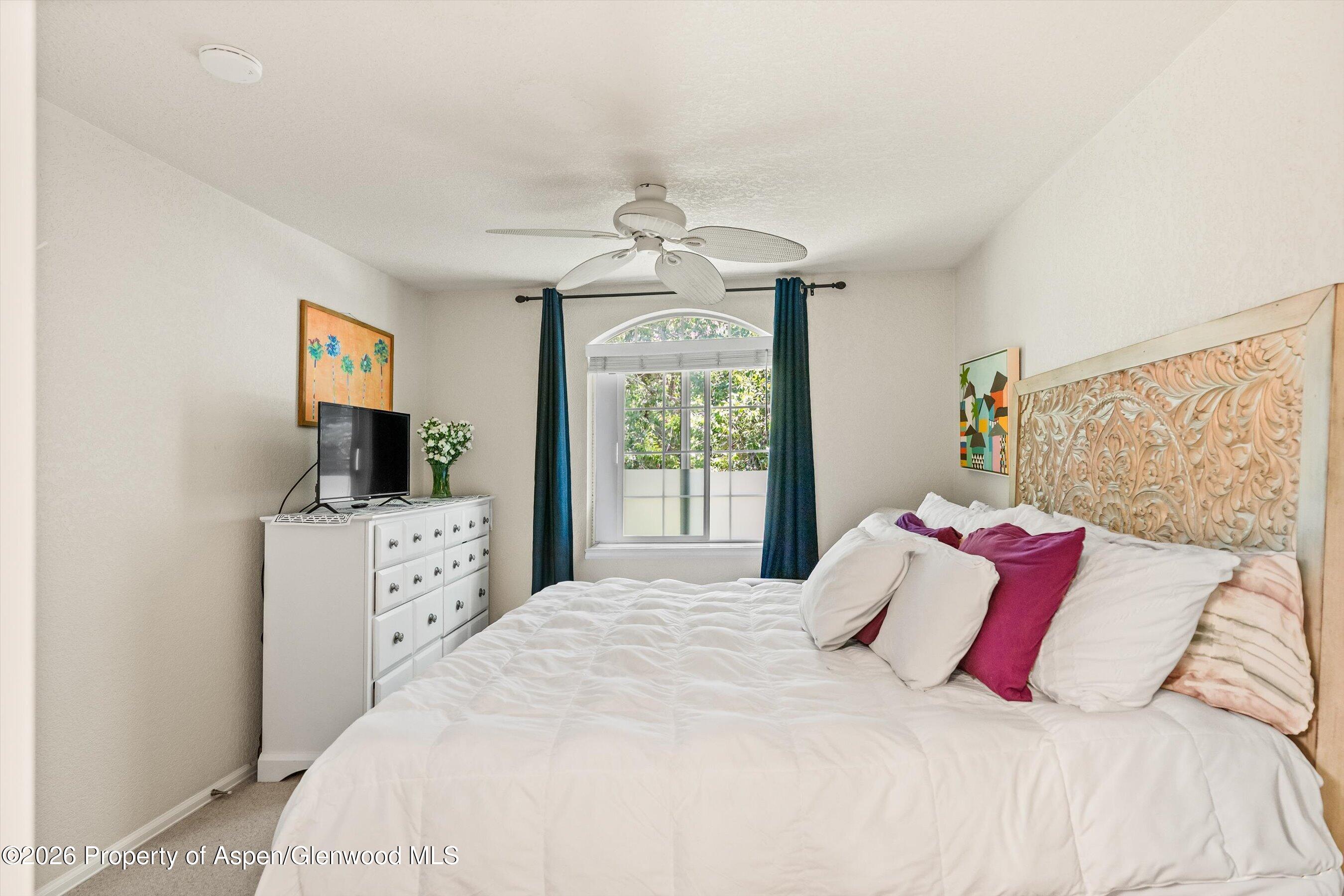 5203 Elk Lane Basalt, CO 81621 - Photo 13 of 26 17-5203ElkLn_26061717