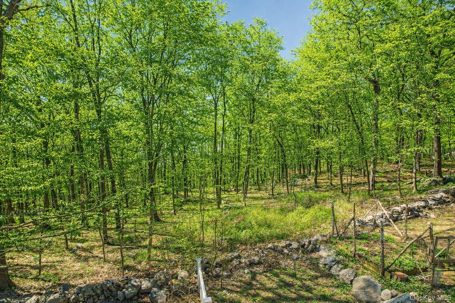 11 Shawnee Road Putnam Valley, NY 10579 - Photo 29 of 45 Virtually Staged to Show Trees in Bloom