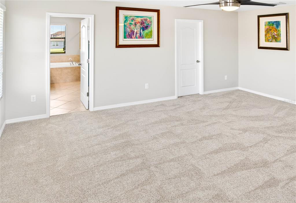 13415 White Sapphire Road Riverview, FL 33579 - Photo 43 of 96