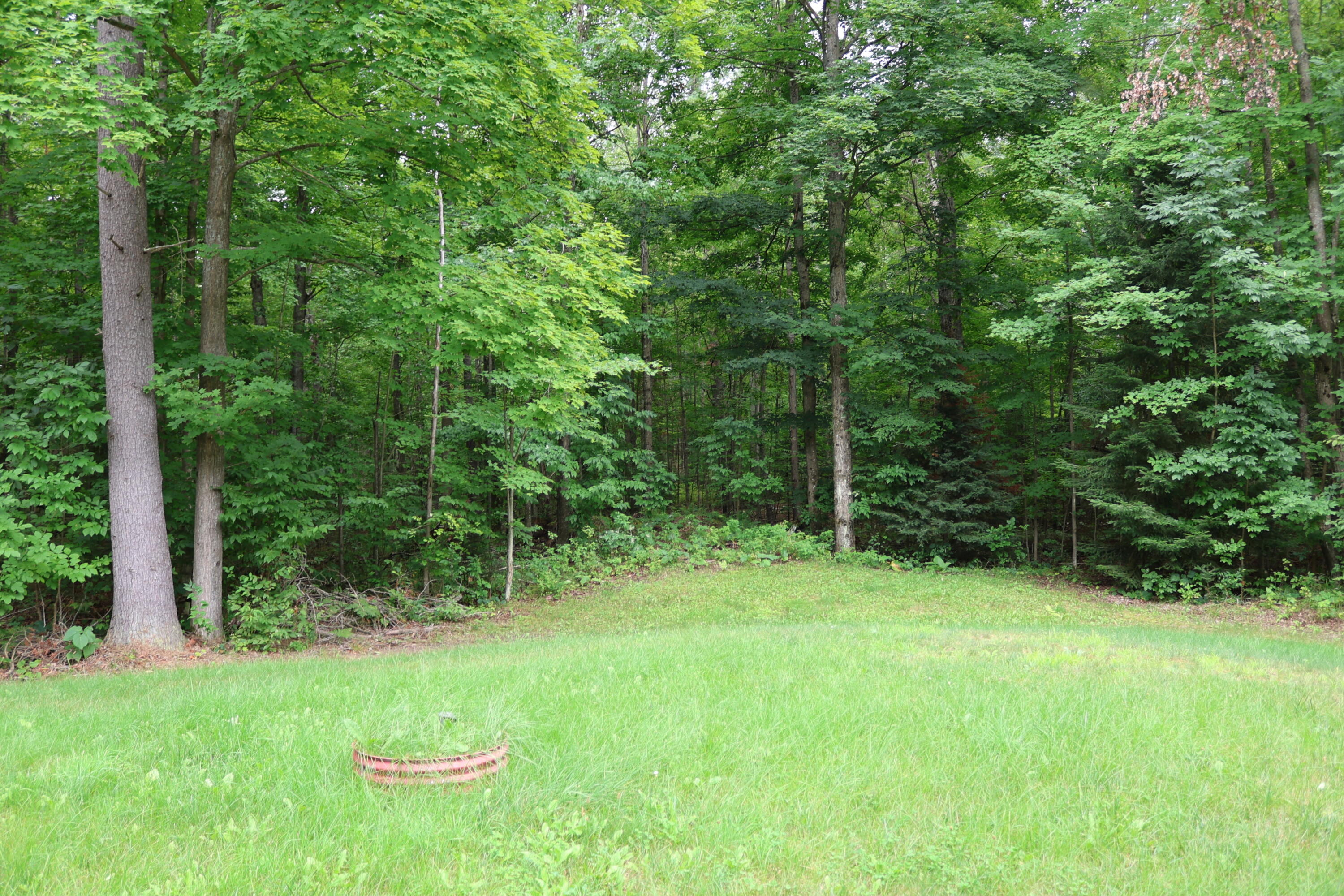 17488 Pleasant Valley Road Atlanta, MI 49709 - Photo 4 of 28 IMG_0433