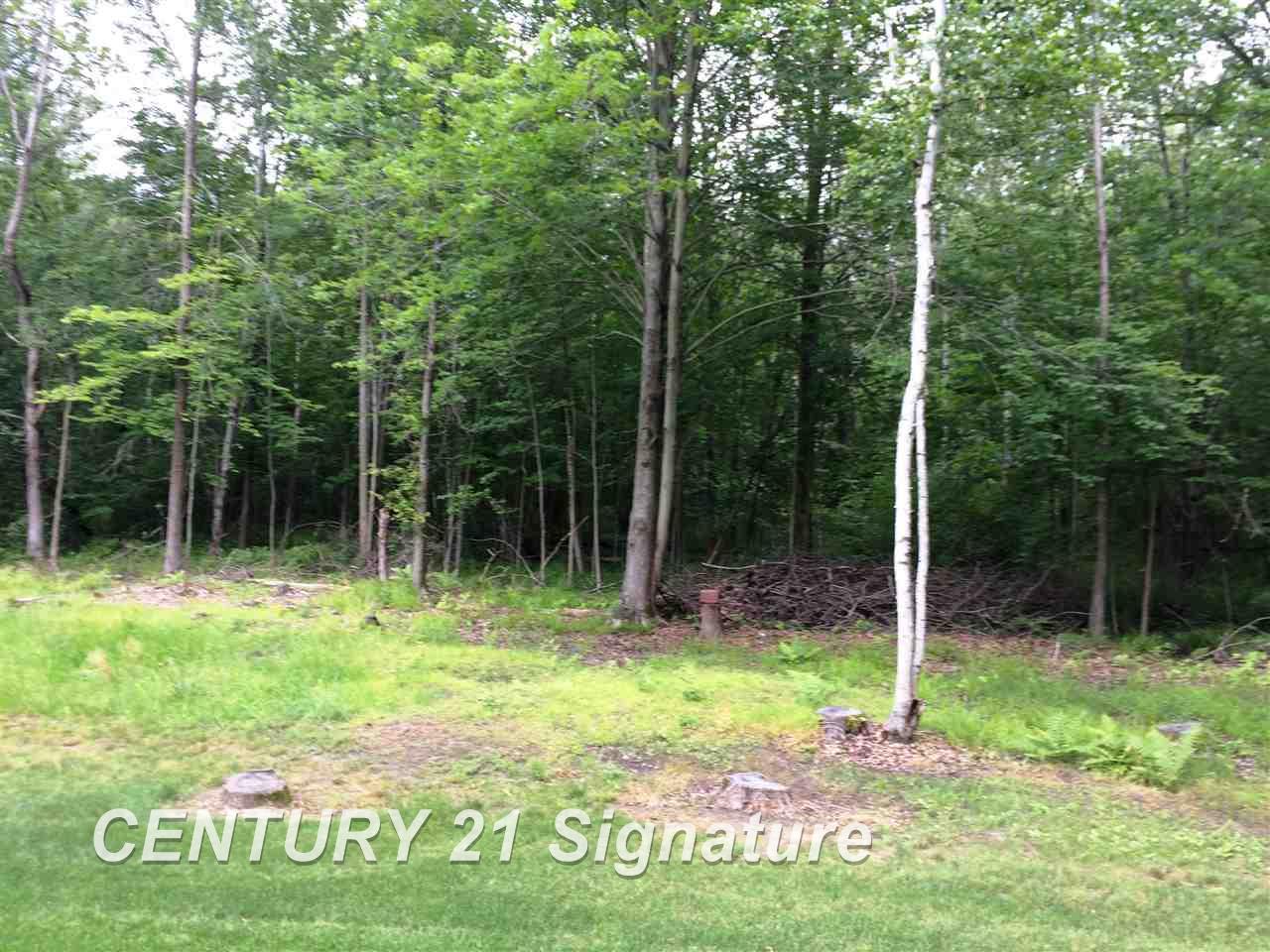 2886 South Fenmore Road Merrill, MI 48637 - Photo 22 of 23 Gallery Image 22