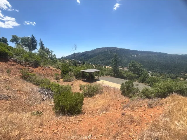 a view of a yard with a tree