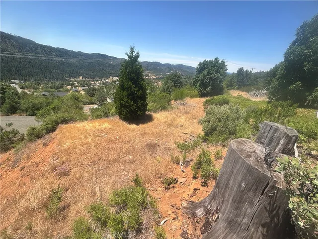 a view of a yard with a lake view