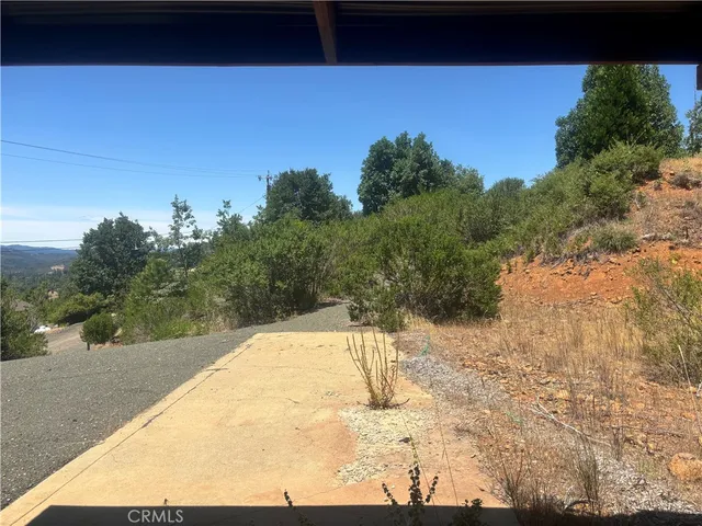 a view of a dry yard with trees