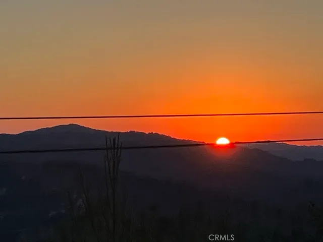 a plant is in a garden