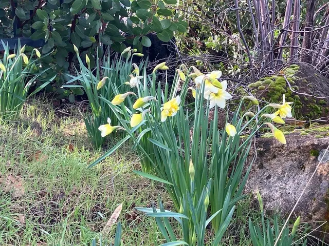 $32,000 | 15350 Evergreen Drive, Cobb, CA 95426