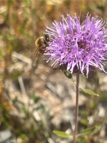 $32,000 | 15350 Evergreen Drive, Cobb, CA 95426