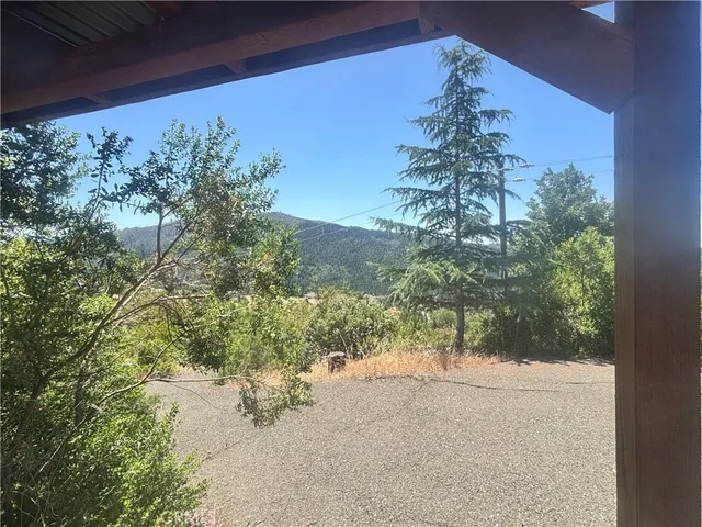 a view of a yard with a tree