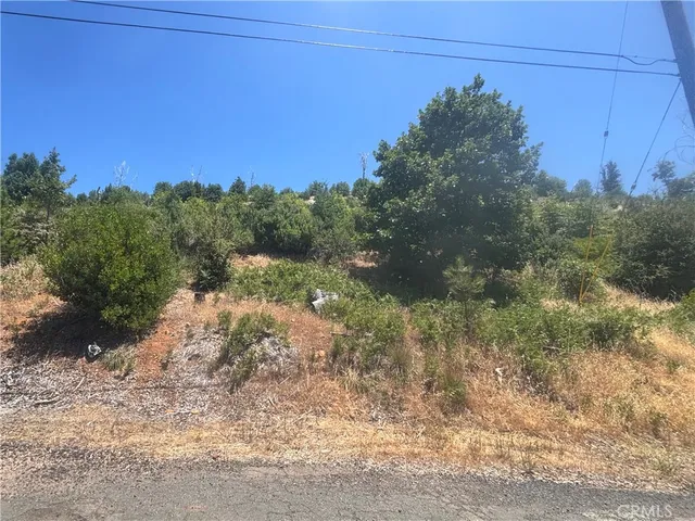 a view of a yard with a tree