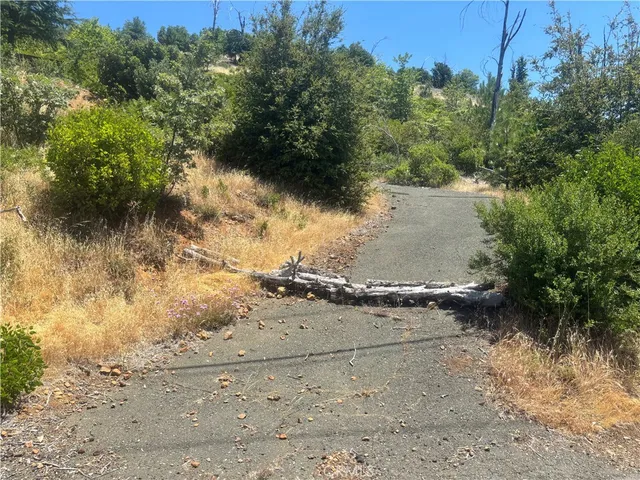 a view of a yard with a tree