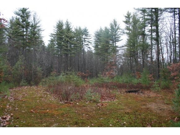 36 Simeon Wilson Road Amherst, NH 03031 - Photo 1 of 1