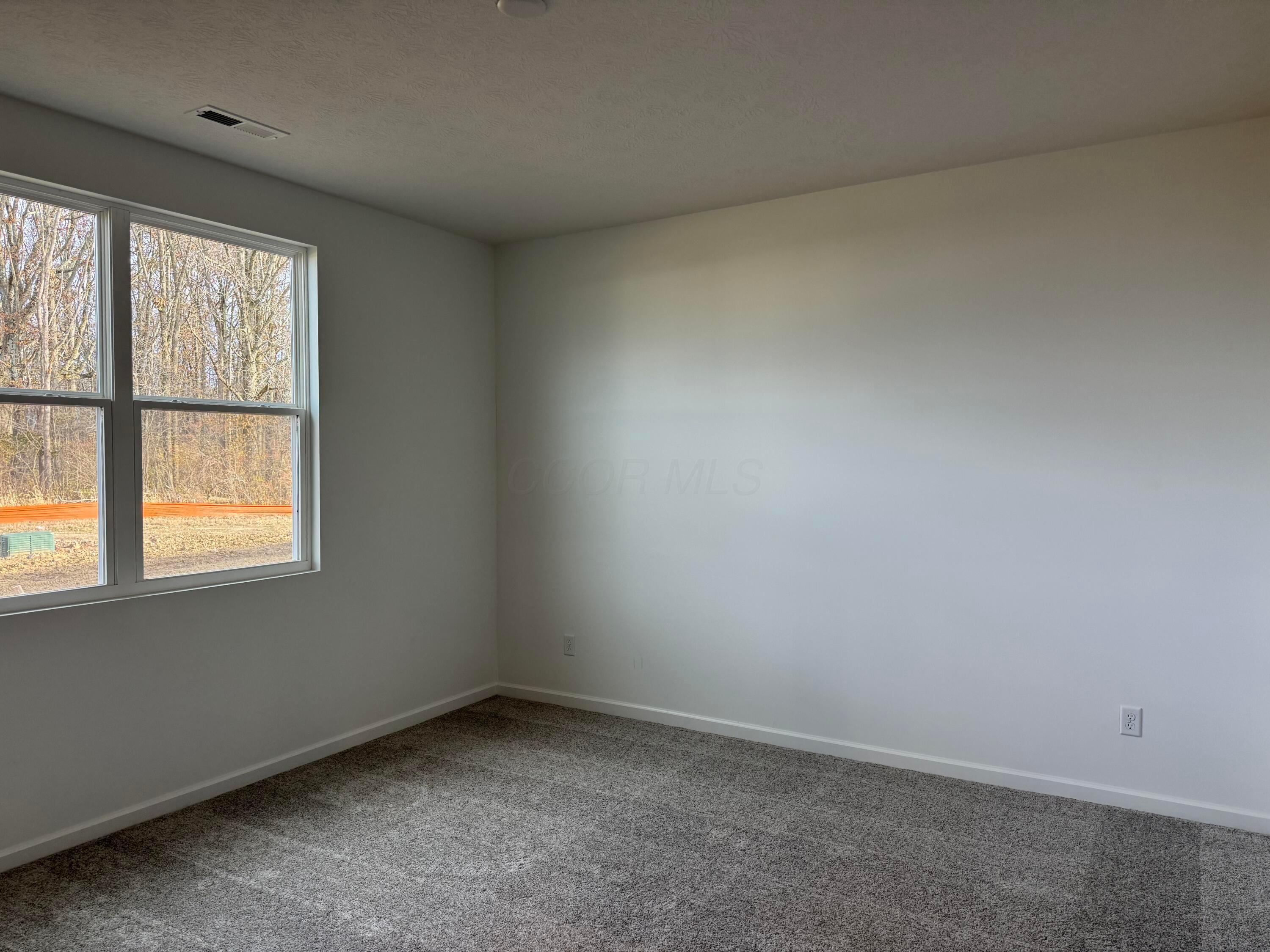 314 Rye Street, Unit LOT 50 Galloway, OH 43119 - Photo 8 of 34 Owners Suite