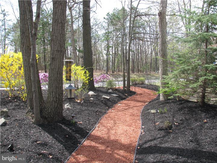 32 Wiltons Landing Road Sicklerville, NJ 08081 - Photo 17 of 25 Gallery Image 17