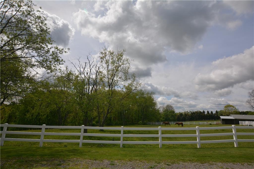 169 Powell Road New Brighton, PA 15066 - Photo 8 of 22 Gallery Image 8