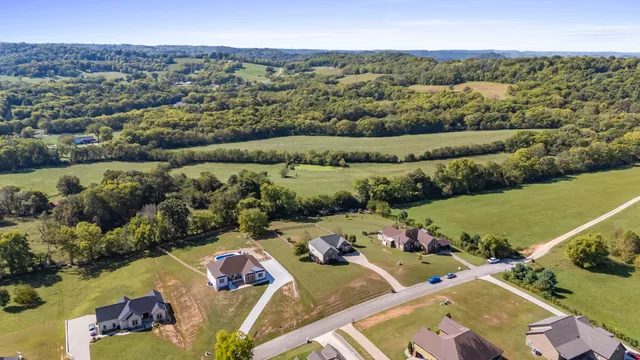 a front view of a house with yard and green space