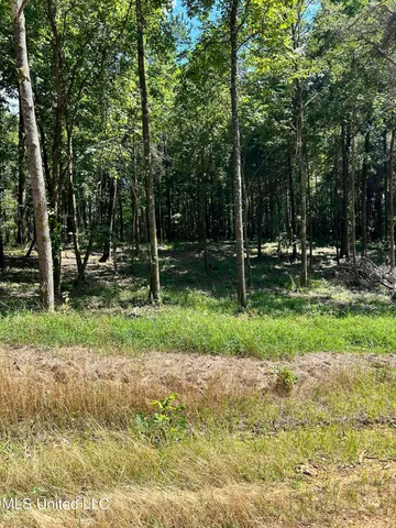 $260,000 | 5167 South S Highway, Hernando, MS 38632
