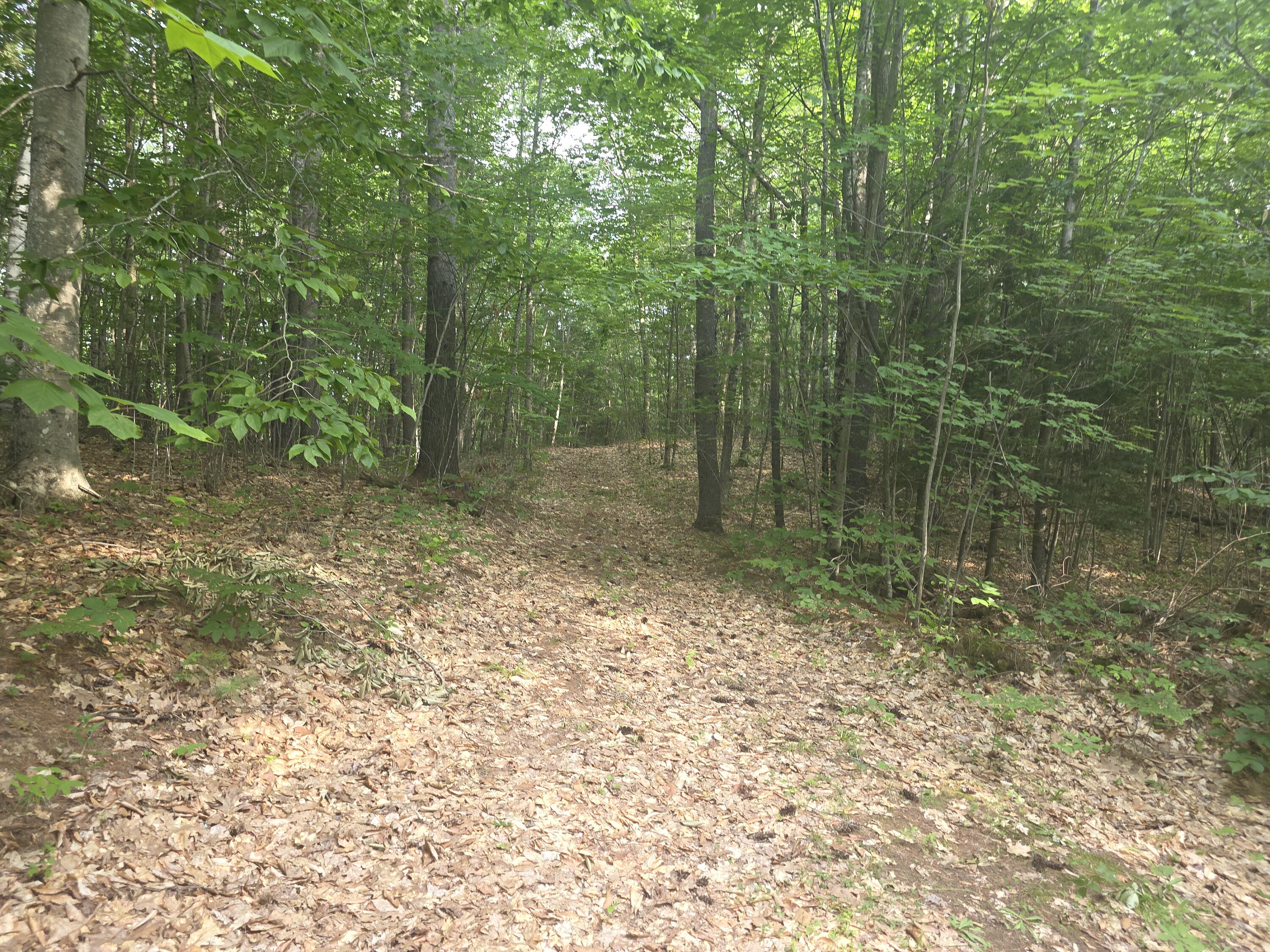Lot 1-1a Madison Road Norridgewock, ME 04957 - Photo 2 of 24 2- Driveway