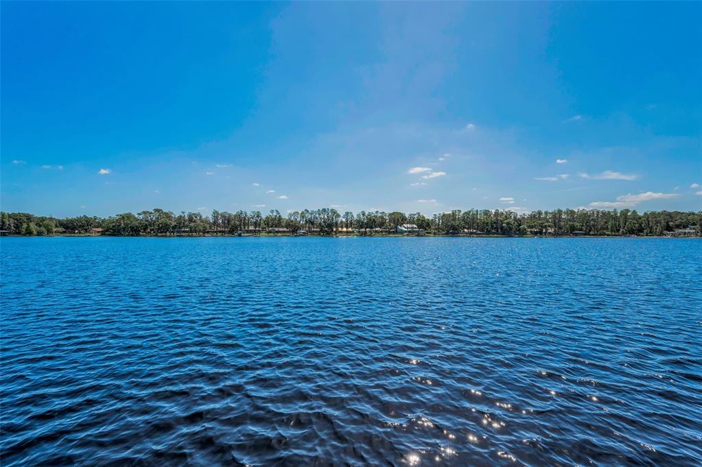 16019 Chastain Road Odessa, FL 33556 - Photo 58 of 84