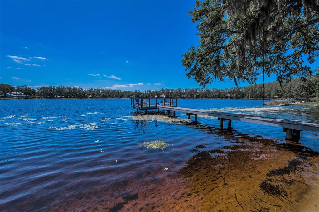 16019 Chastain Road Odessa, FL 33556 - Photo 59 of 84