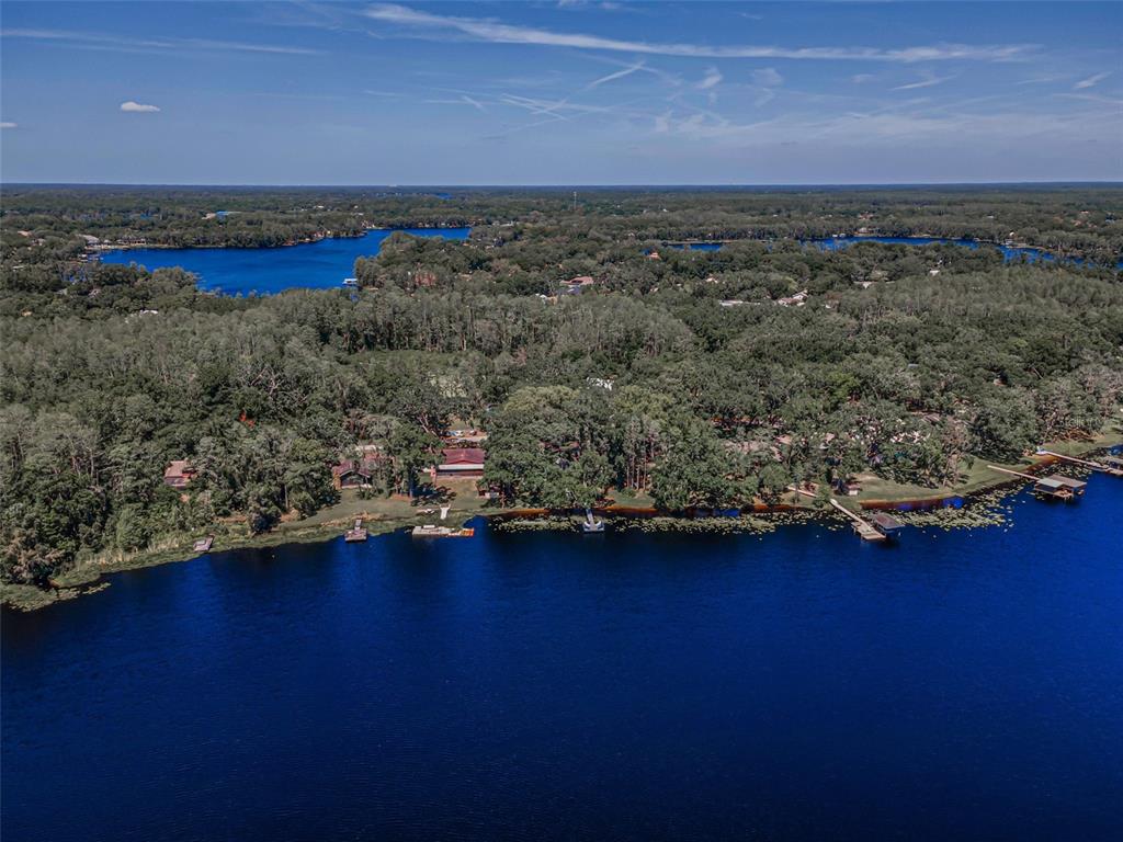 16019 Chastain Road Odessa, FL 33556 - Photo 80 of 84