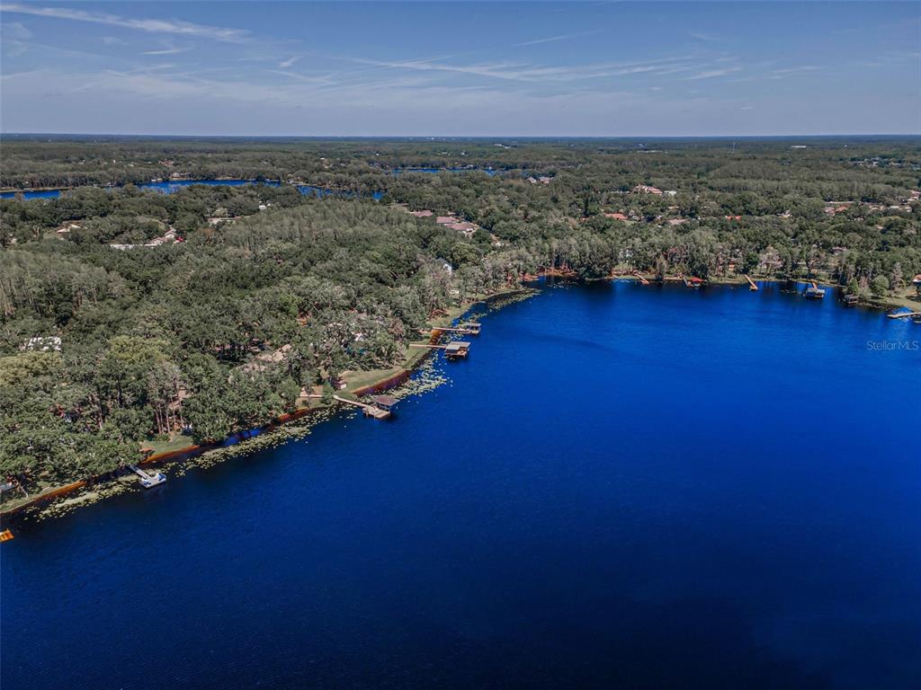 16019 Chastain Road Odessa, FL 33556 - Photo 82 of 84