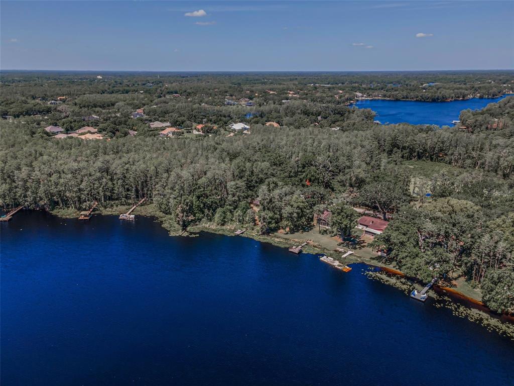 16019 Chastain Road Odessa, FL 33556 - Photo 83 of 84