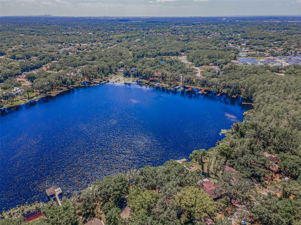 16019 Chastain Road Odessa, FL 33556 - Photo 84 of 84