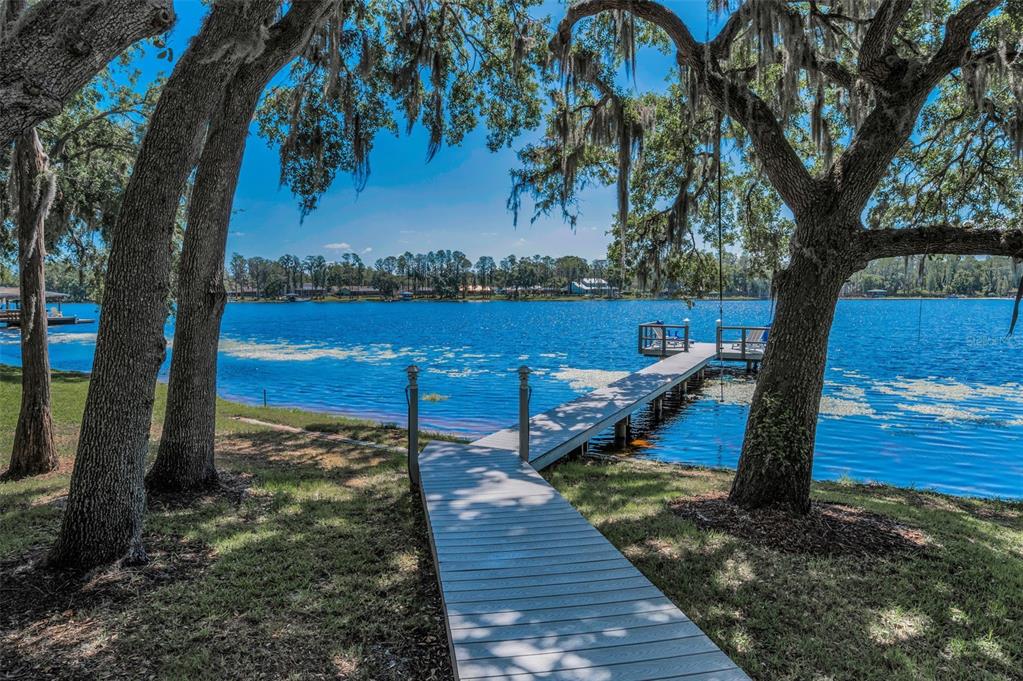 16019 Chastain Road Odessa, FL 33556 - Photo 9 of 84