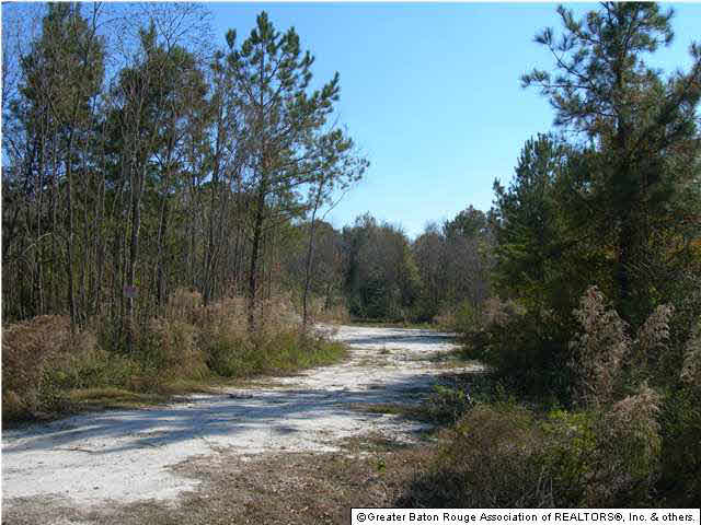 12260 Hammack Road Denham Springs, LA 70726 - Photo 1 of 2 Gallery Image 1