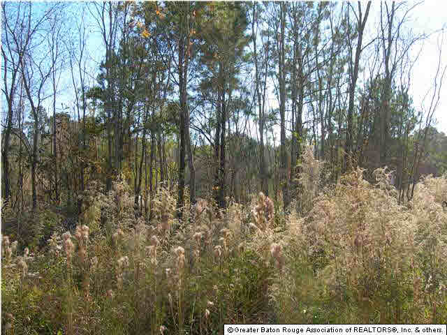 12260 Hammack Road Denham Springs, LA 70726 - Photo 2 of 2 Gallery Image 2