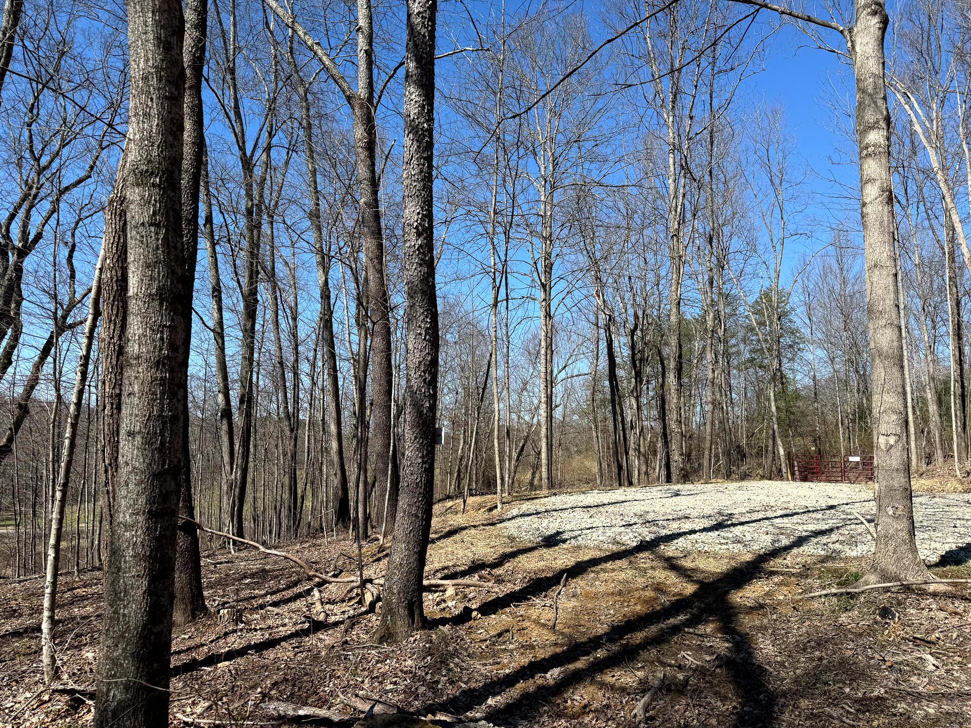 0 Dutch Ridge Road Southeast, Unit WOODS TURKEY RUN TRACT 5) New Lexington, OH 43764 - Photo 56 of 58 CT-56