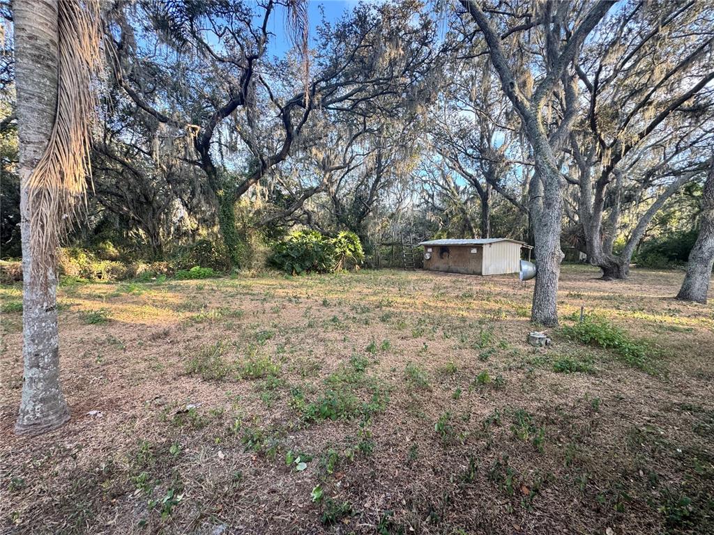 1516 Hawk Griffin Road Plant City, FL 33563 - Photo 16 of 17 a view of a yard with large trees