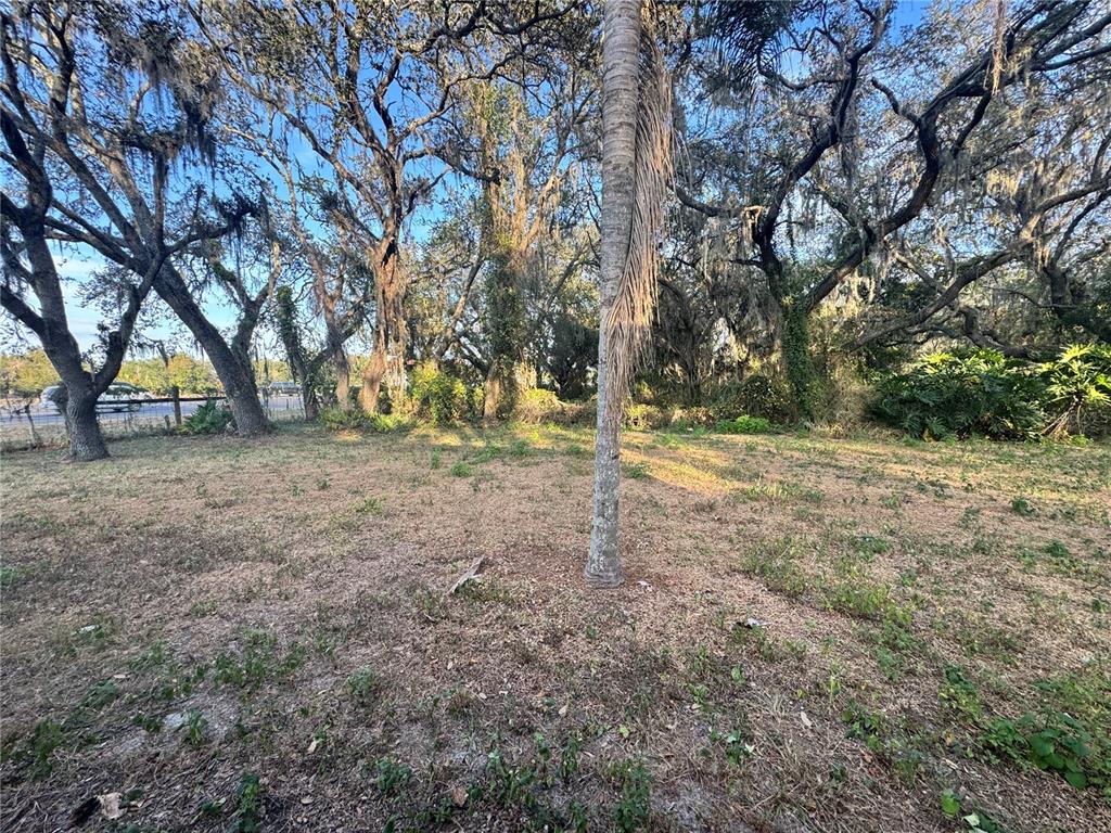 1516 Hawk Griffin Road Plant City, FL 33563 - Photo 17 of 17 a view of a yard with a tree