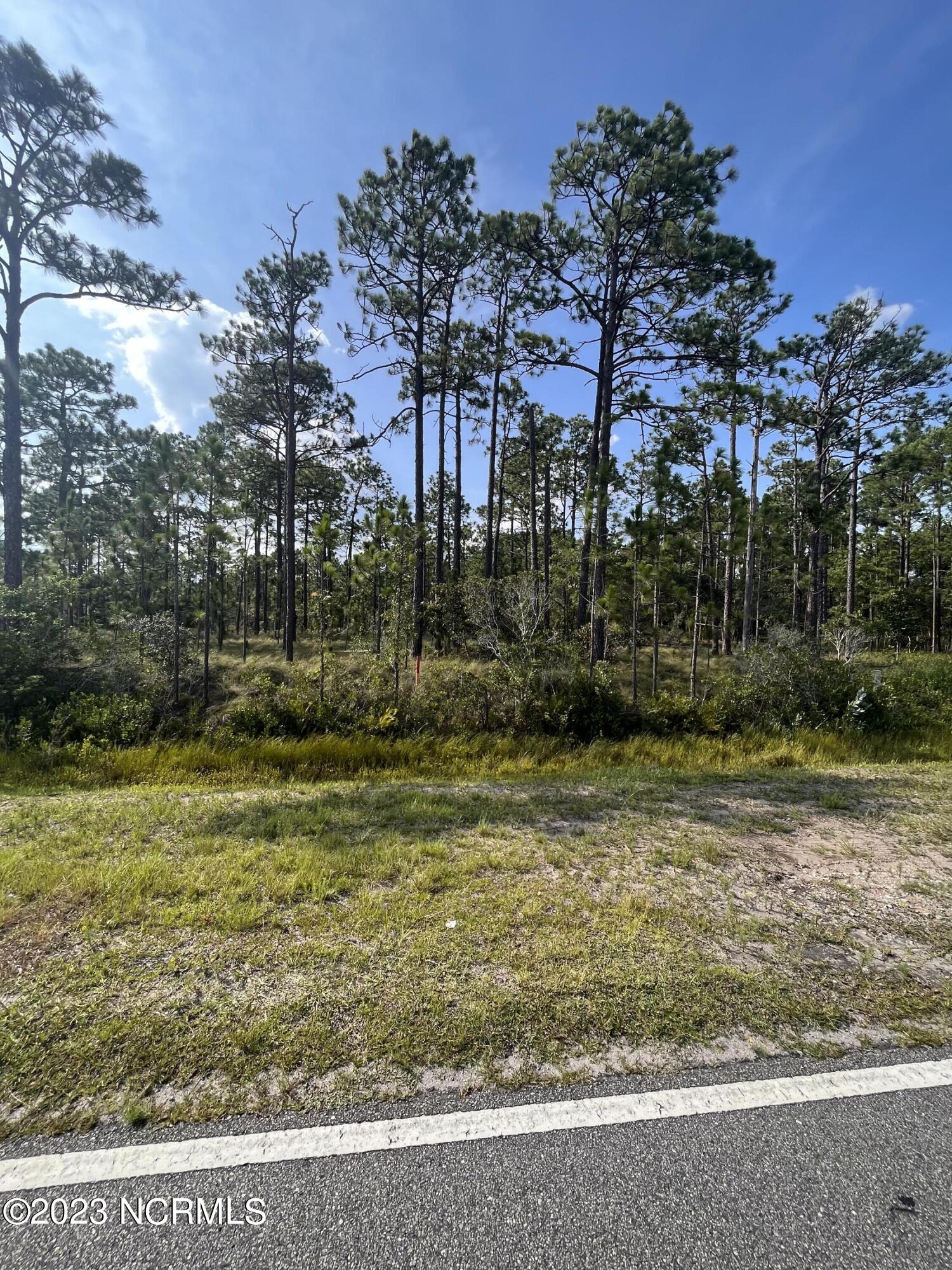 L-38 Cougar Road Southport, NC 28461 - Photo 2 of 2 Lot #38 Street View