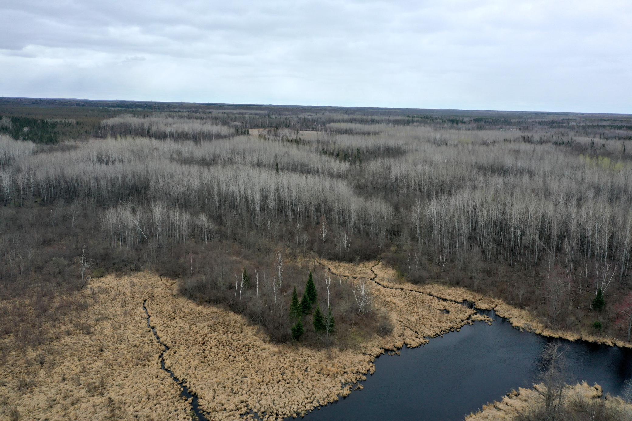 3854 Rasmussen Road Wright, MN 55798 - Photo 29 of 98