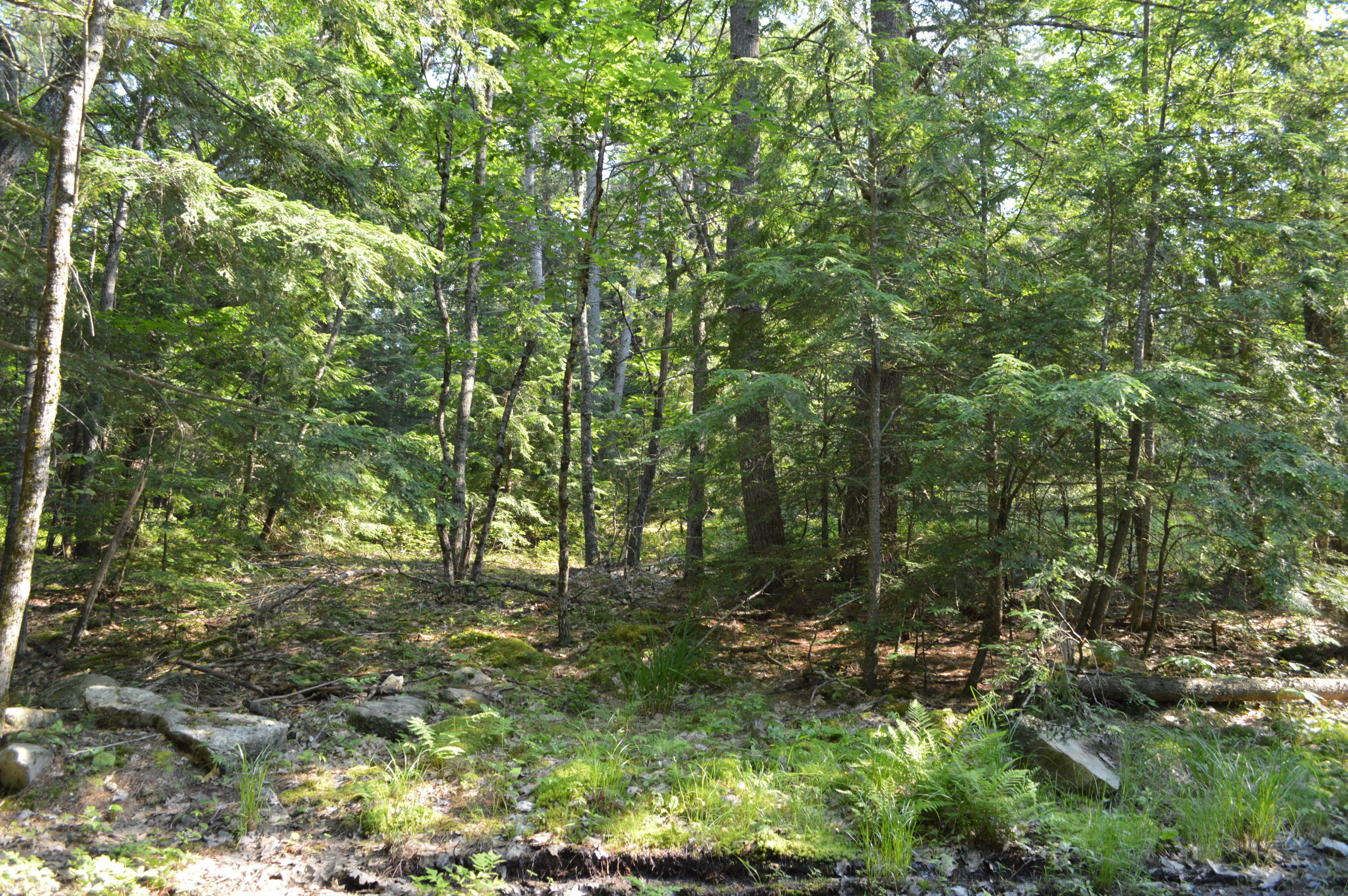 0 Environmental Windham, ME 04062 - Photo 14 of 19 DSC_0431