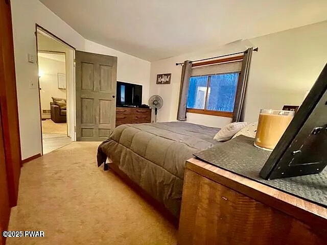 259 Ayoub Road Pleasant Mount, PA 18453 - Photo 115 of 144