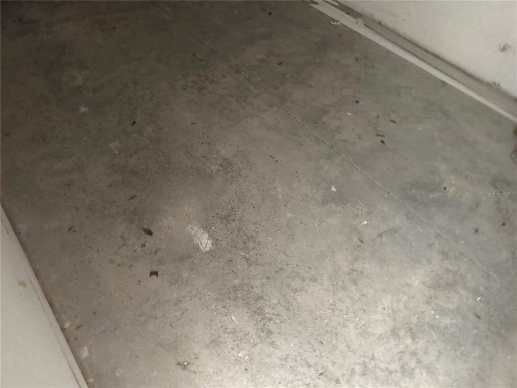 5562 Southwest 206th Avenue Dunnellon, FL 34431 - Photo 23 of 39