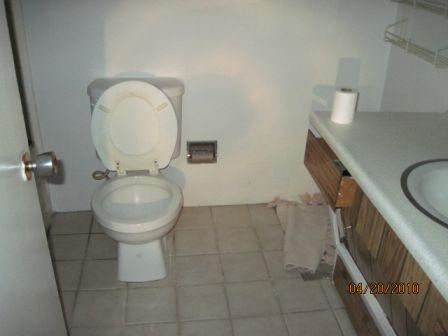 4321 West Ocotillo Road Glendale, AZ 85301 - Photo 4 of 4 Bathroom