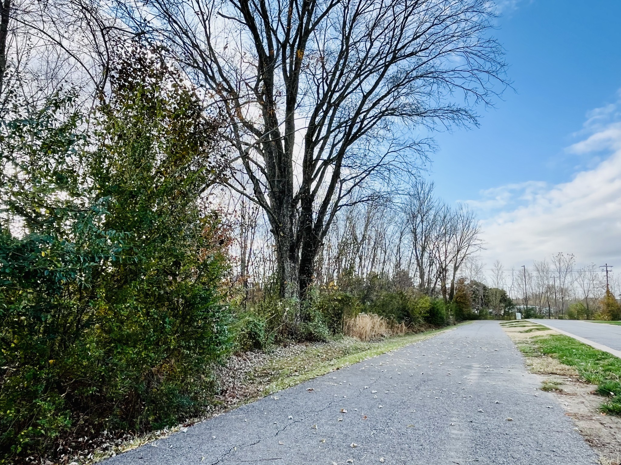 361 A Wellows Chase Spring Hill, TN 37174 - Photo 5 of 25