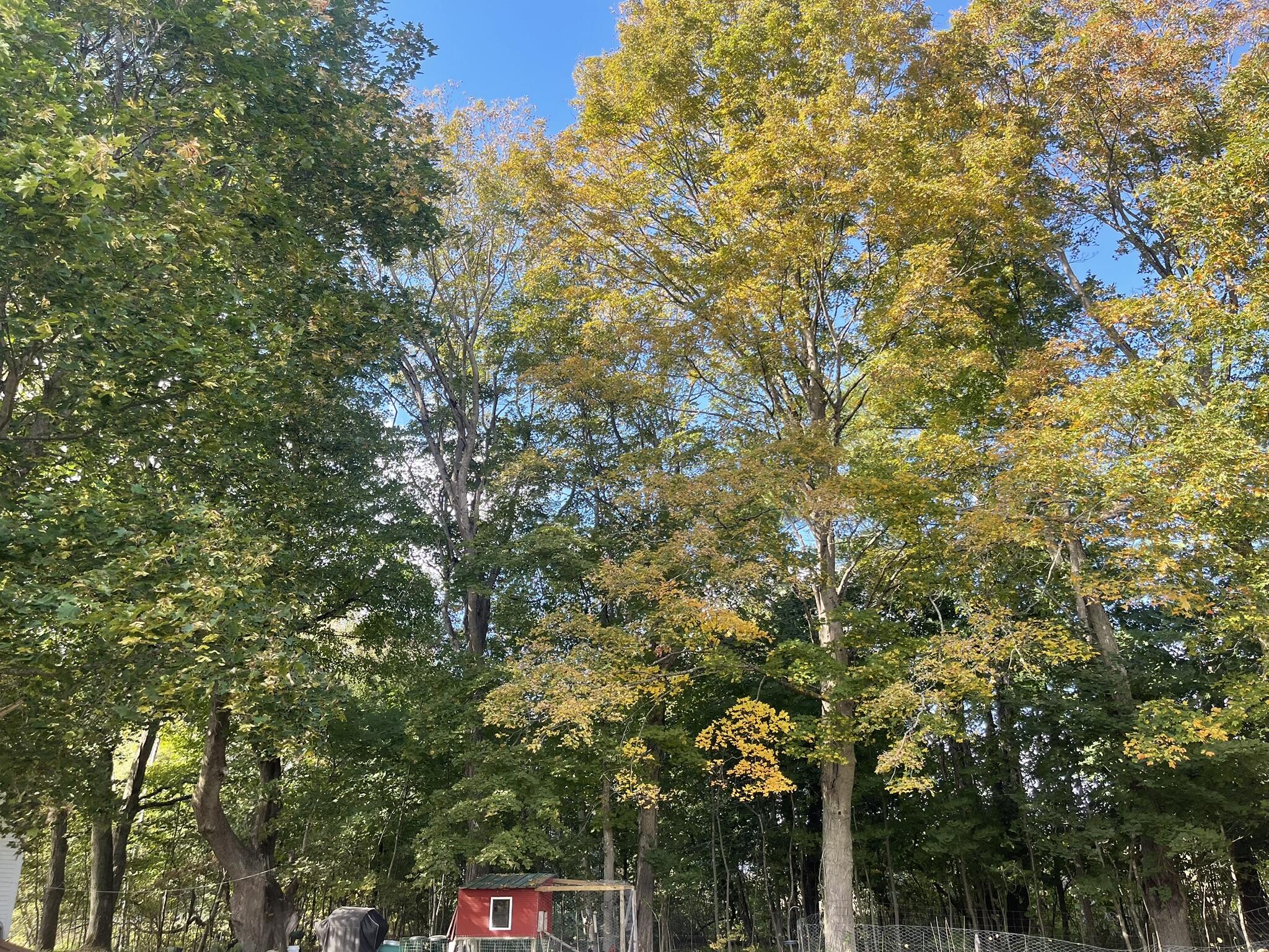 565 River Road Anson, ME 04958 - Photo 77 of 113