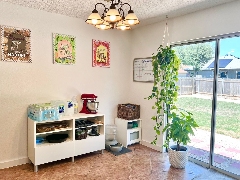 3204 Elizabeth Anne Lane Round Rock, TX 78664 - Photo 12 of 17 a living room with furniture and a potted plant