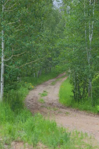 $2,695,000 | 19455 County Road 29, Oak Creek, CO 80467