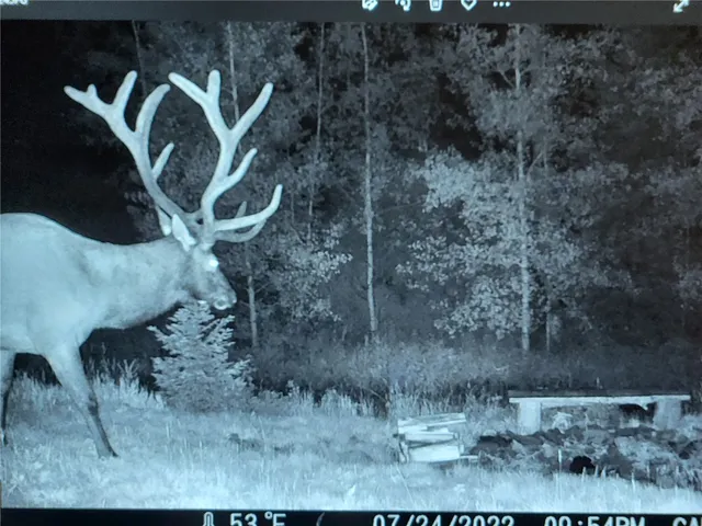 $2,695,000 | 19455 County Road 29, Oak Creek, CO 80467