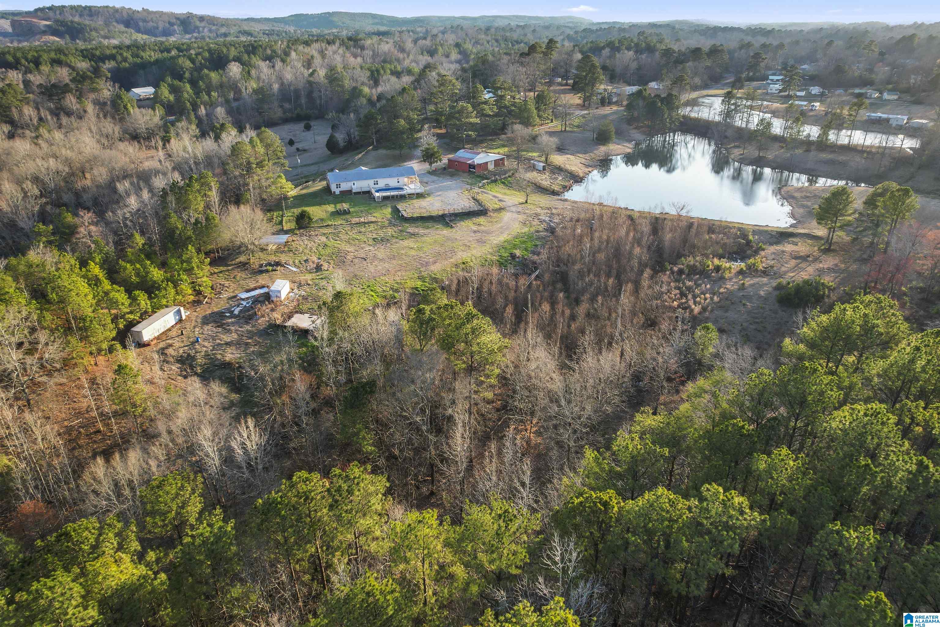 7080 Parsons Lake Road Adger, AL 35006 - Photo 54 of 59